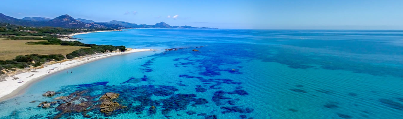 Mare